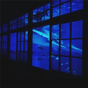 婬肉泬被cao烂H多p
