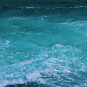 婬肉泬被cao烂H多p
