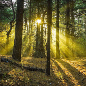 婬肉泬被cao烂H多p
