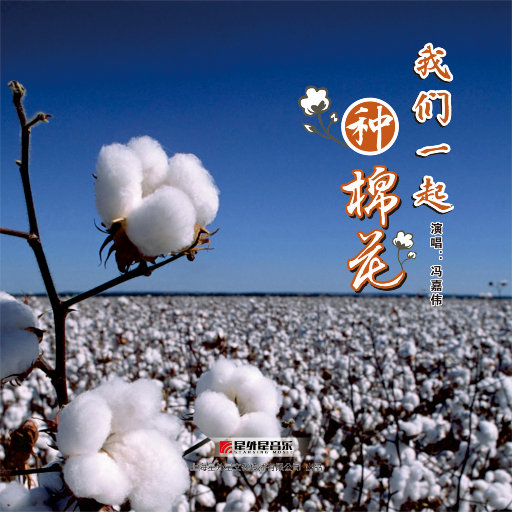 婬肉泬被cao烂H多p
